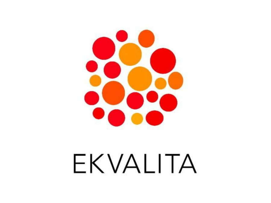 På Ekvalita hittas kunskap om hur jämställdhet, inkludering och likabehandling kan främjas ur ett normmedvetet perspektiv i både stora som små organisationer, internt och externt. Vi erbjuder utbildningar, material- och metodutveckling, främst i Sverige och Finland sedan 2008.